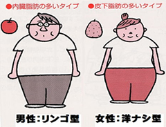 肥満には二つのタイプがあります。